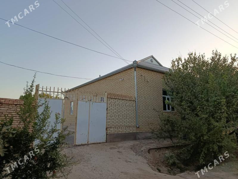 satlyk jaý - Ёлётен - img 3