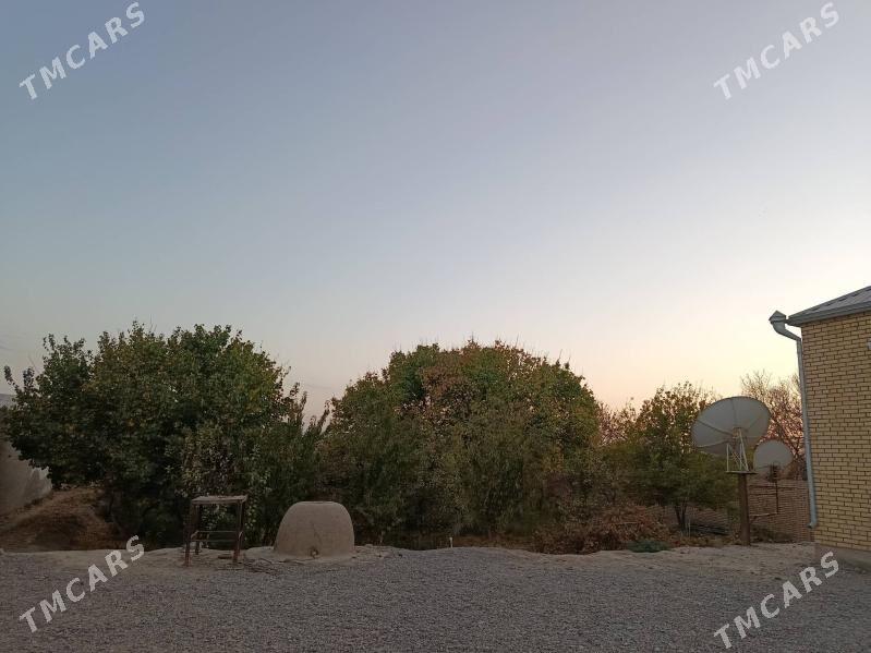 satlyk jaý - Ёлётен - img 2