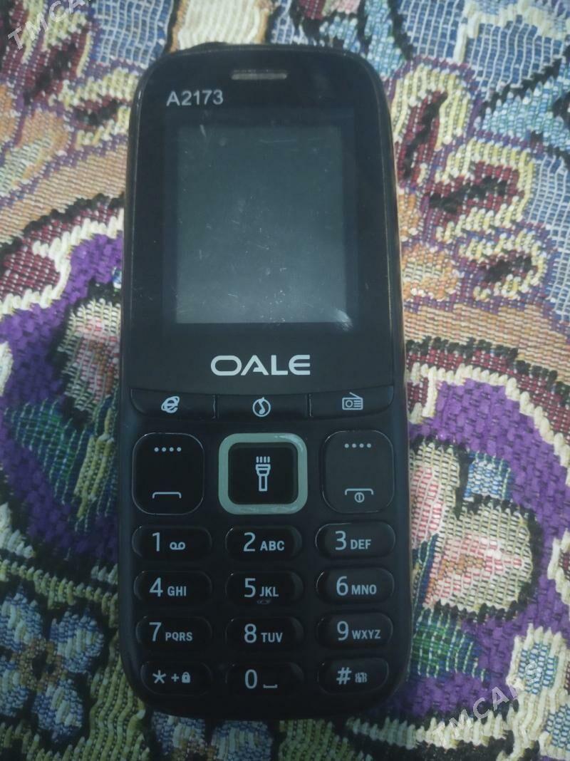 OAEL - Балканабат - img 2