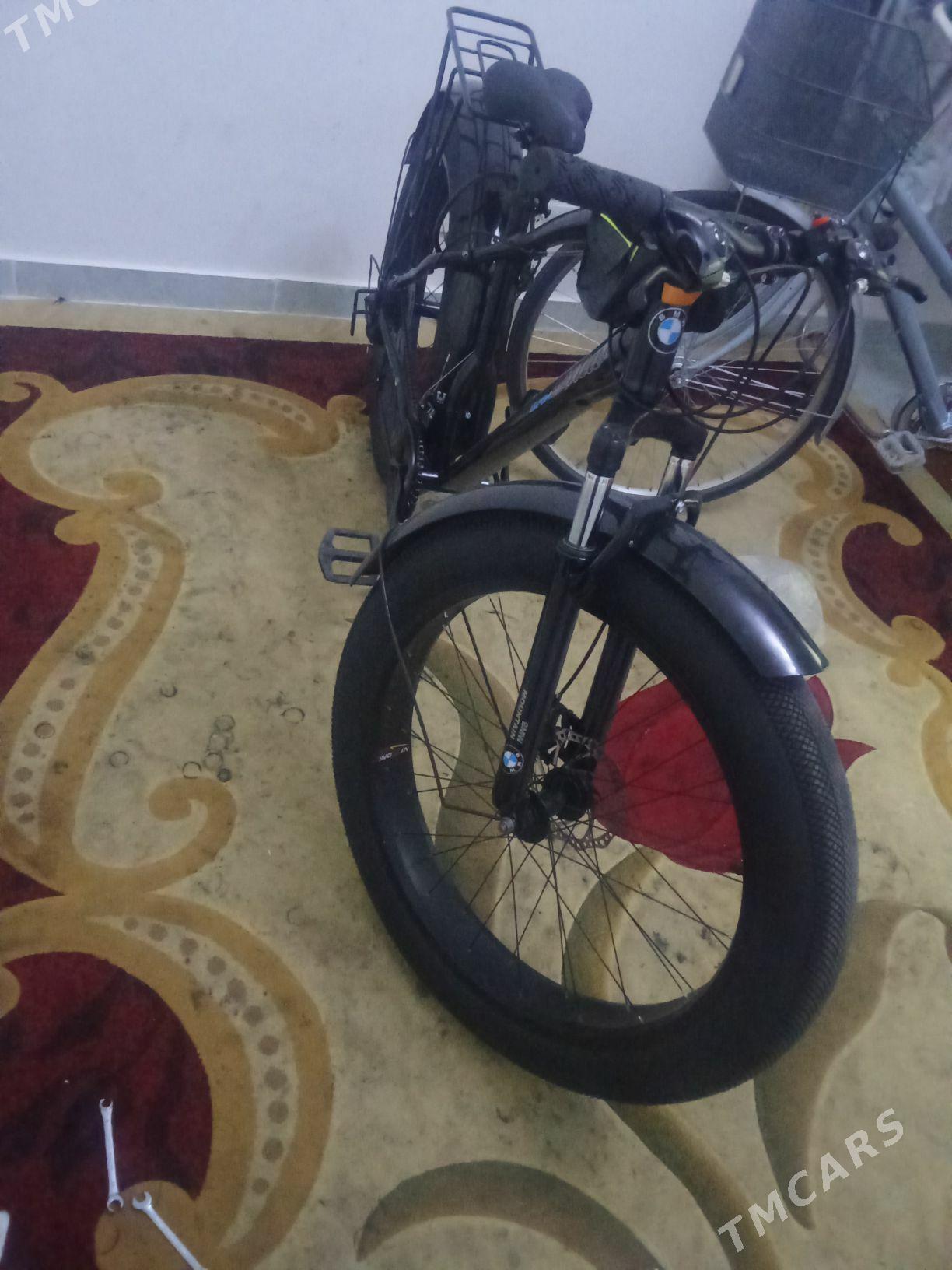 Tigir. Bewa. - Arkadag - img 3