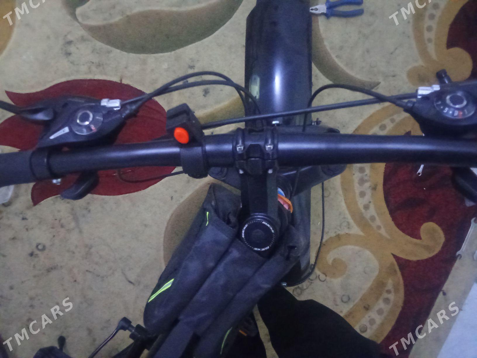 Tigir. Bewa. - Arkadag - img 2