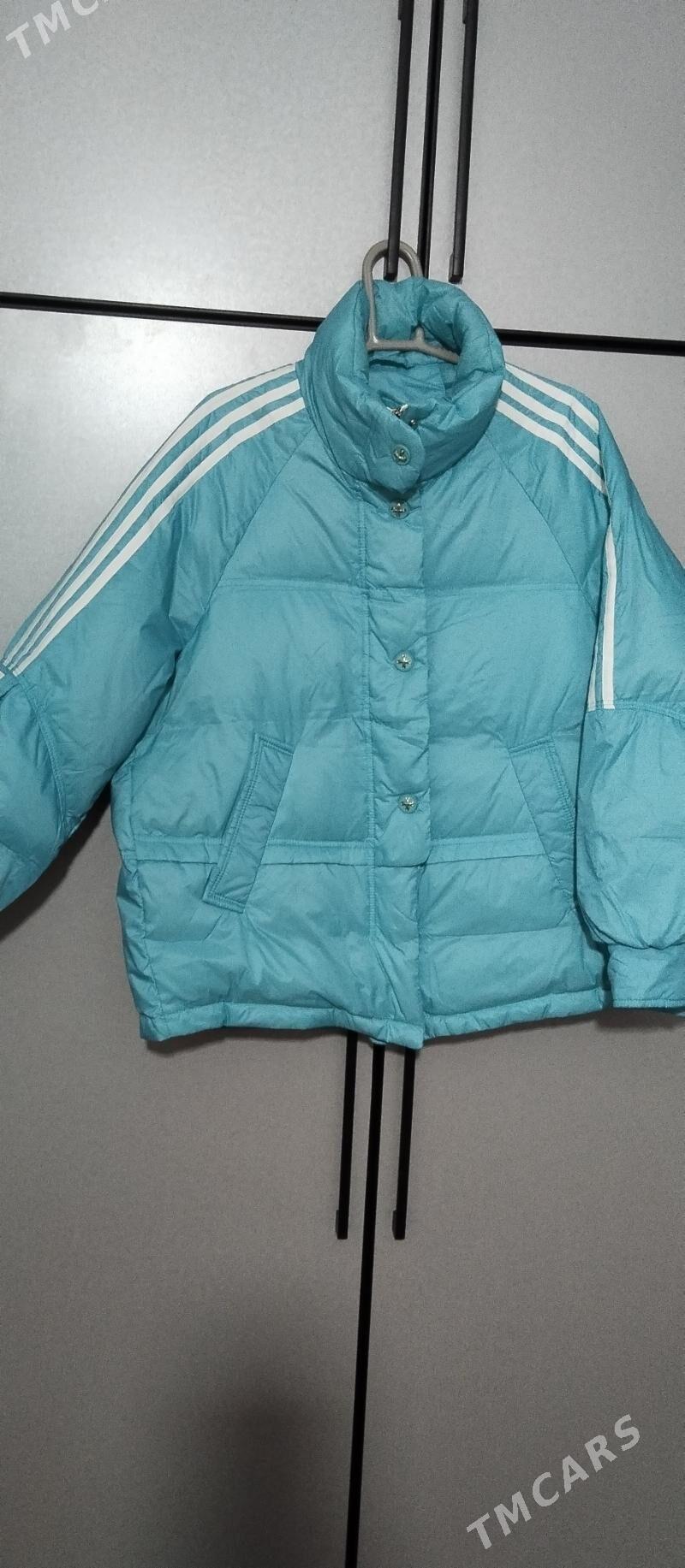 kurtga - Ашхабад - img 2