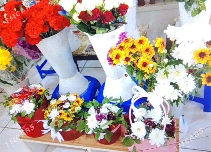 Mary-Şäher-Satlyk-Yer - Мары - img 3