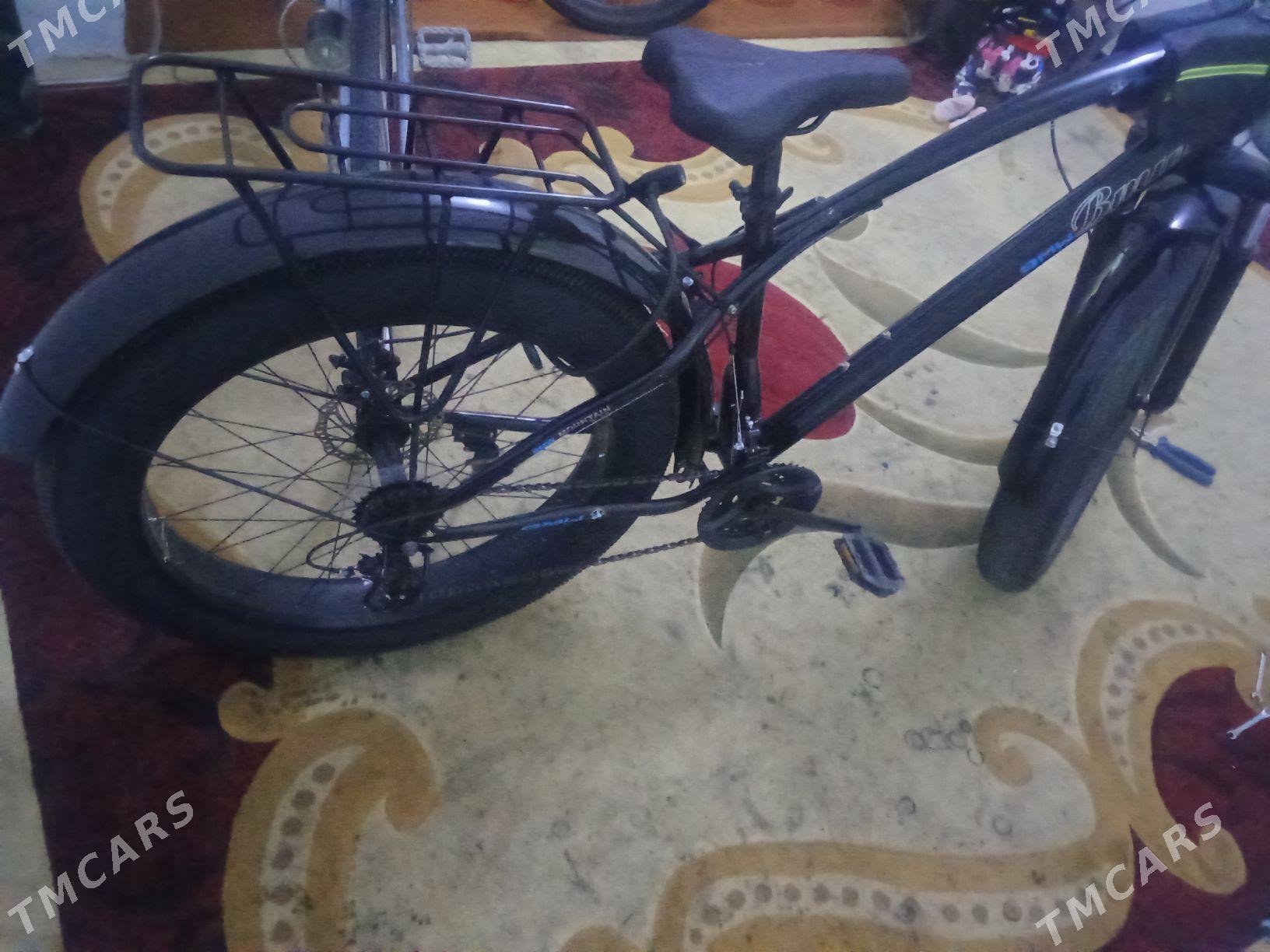 Tigir. Bewa. - Arkadag - img 1