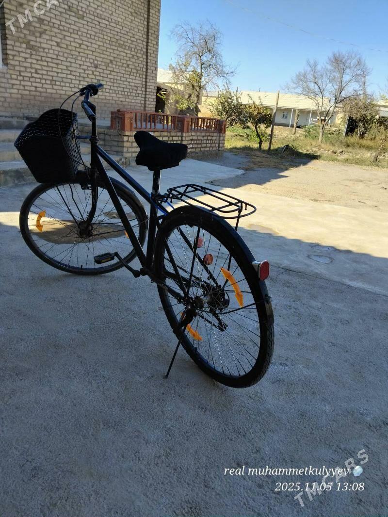 Welik27lik spartivny - Mary - img 3