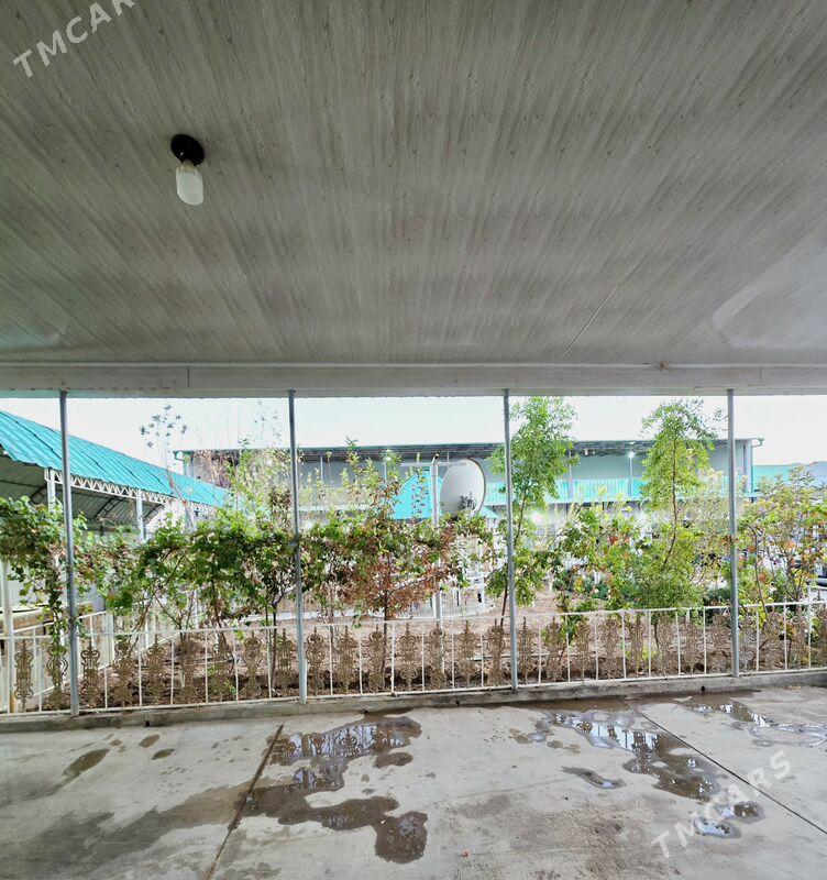 Anew plan jay - Änew - img 1