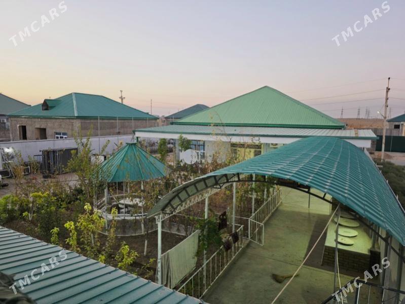 Anew plan jay - Änew - img 5