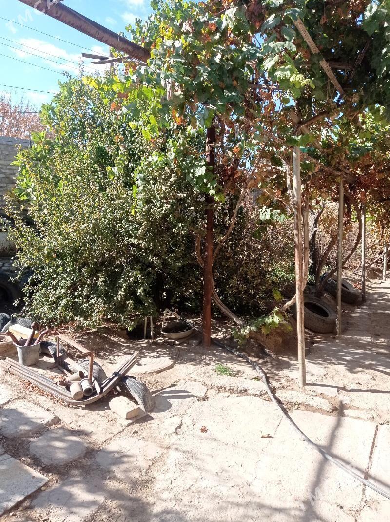 Mary-Şäher-Satlyk-Howly-3-mk - Мары - img 6