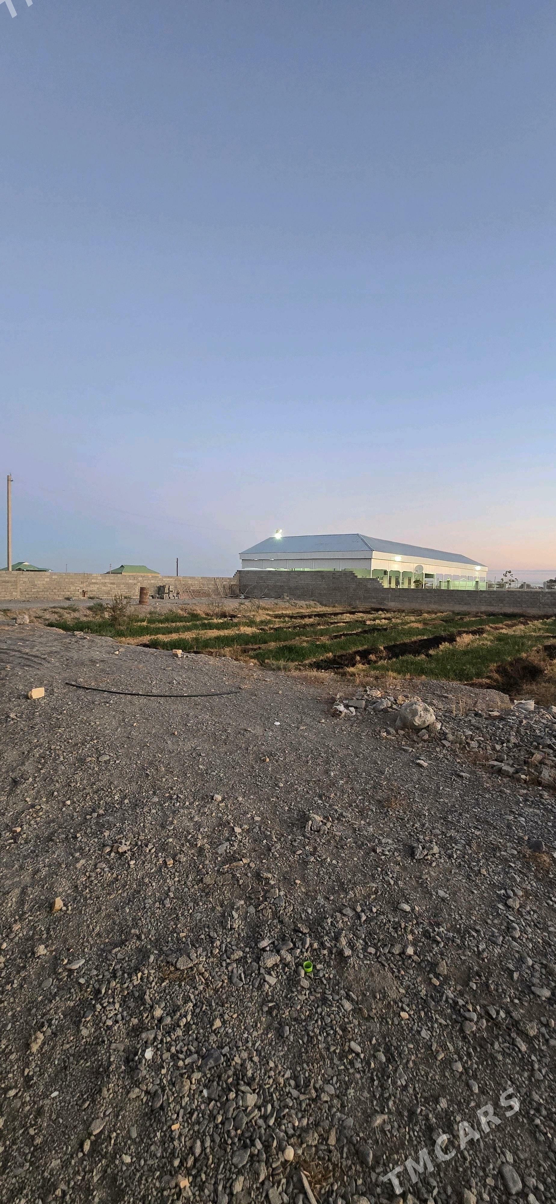 Satlyk jay - Gökdepe - img 4