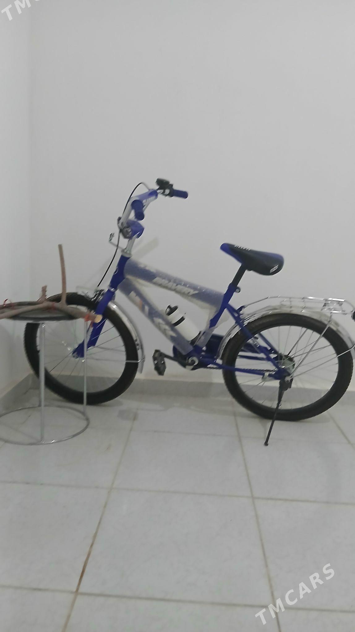 tigir - Änew - img 1