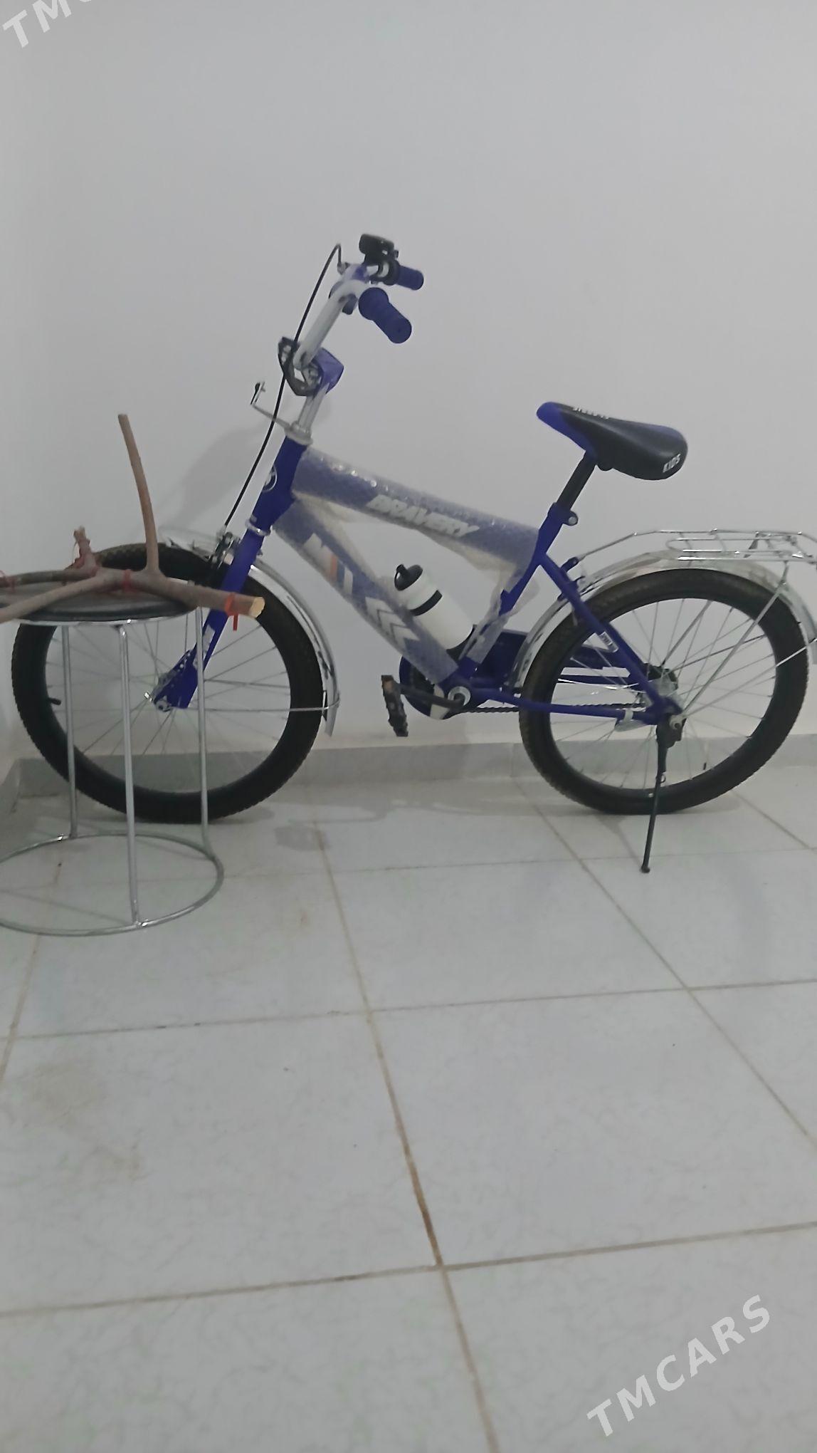 tigir - Änew - img 2