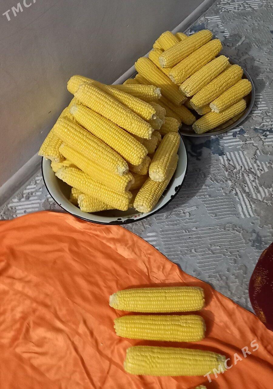 Mekkejewen - Balkanabat - img 2