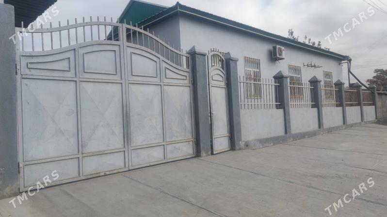 satlyk howly jay - Änew - img 1