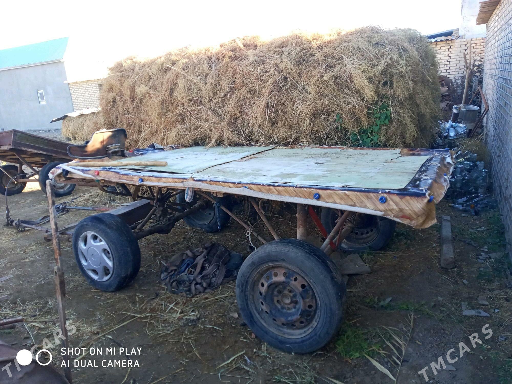 ешек араба - Wekilbazar - img 2