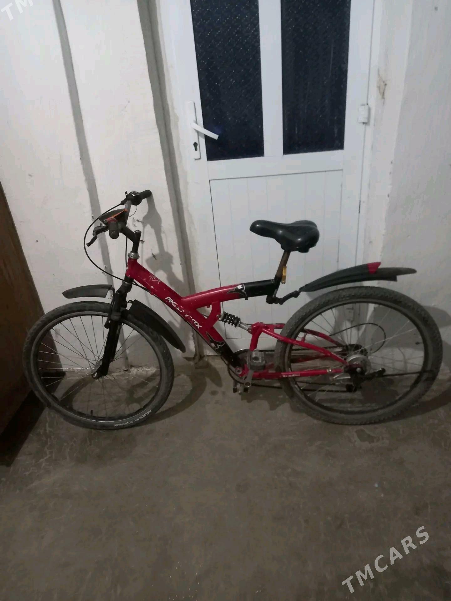 welik red fox - Serhetabat (Guşgy) - img 2