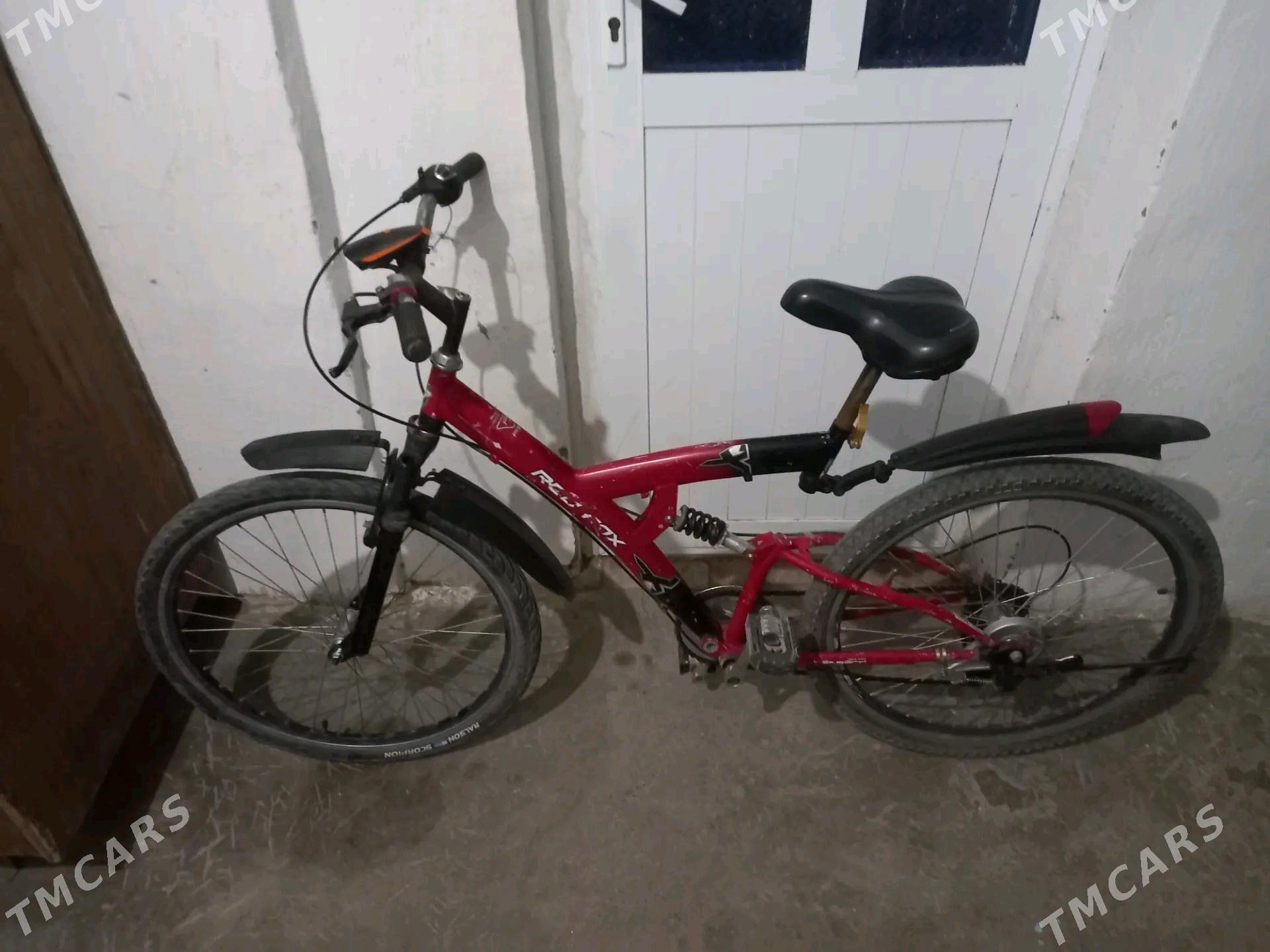 welik red fox - Serhetabat (Guşgy) - img 1