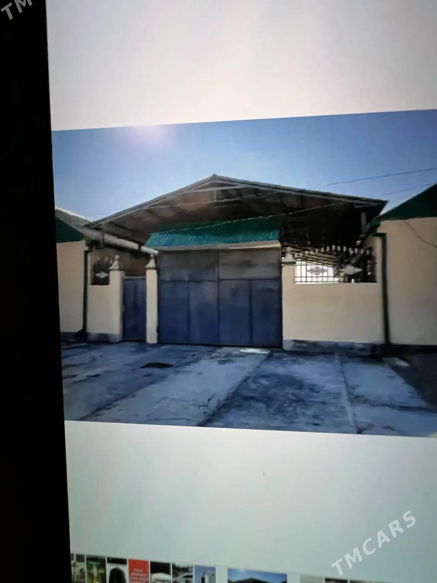 Satlyk jay - Бузмеин - img 1