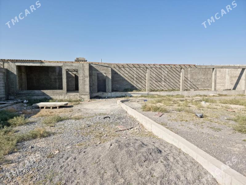 меллек  йер - Гёкдепе - img 3