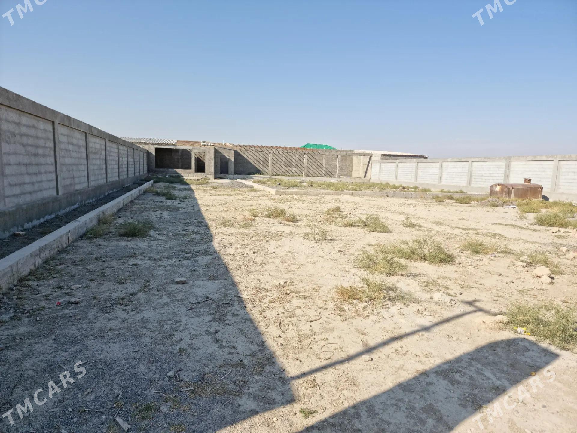 меллек  йер - Гёкдепе - img 5