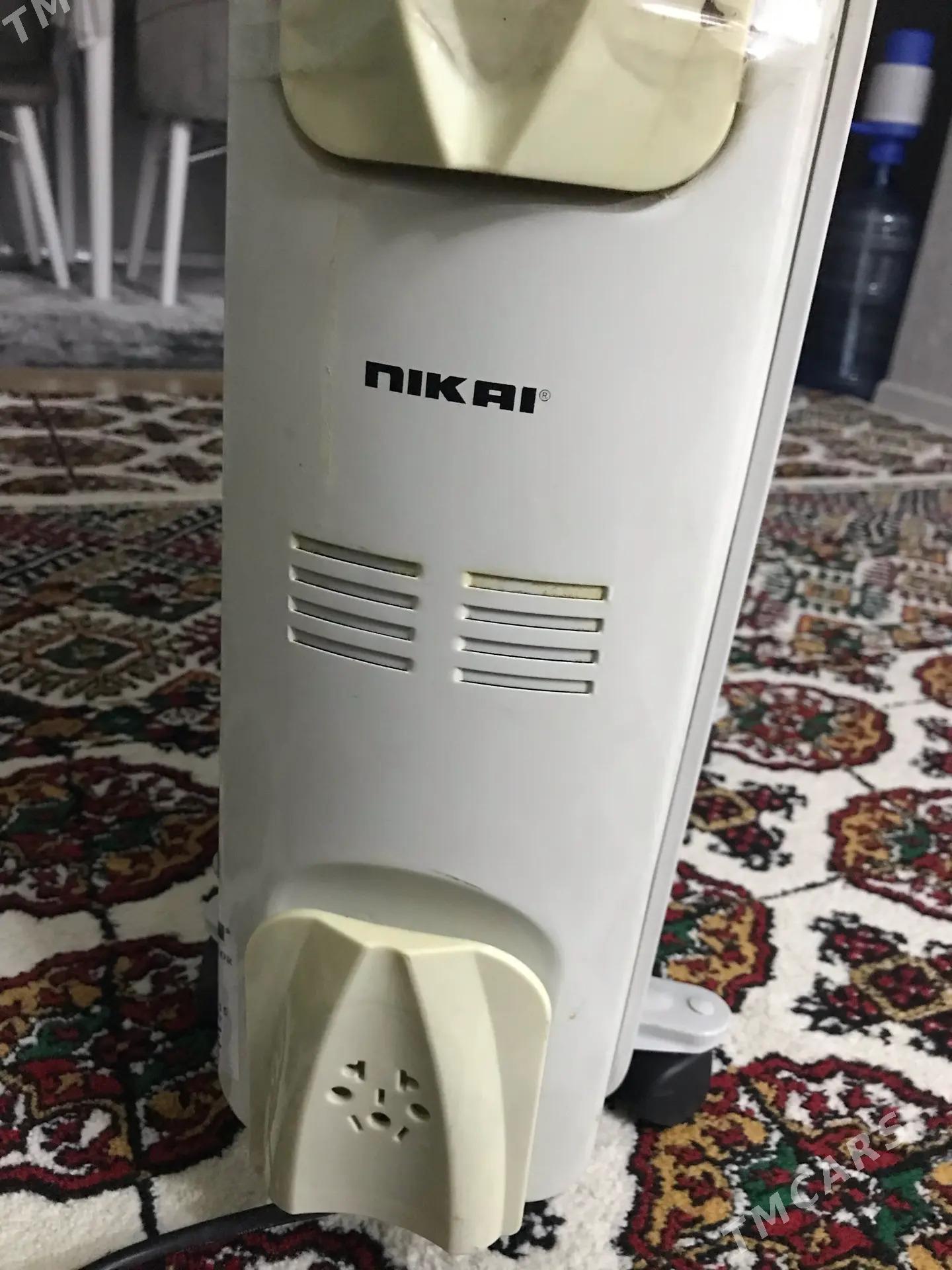 печка - Ашхабад - img 5