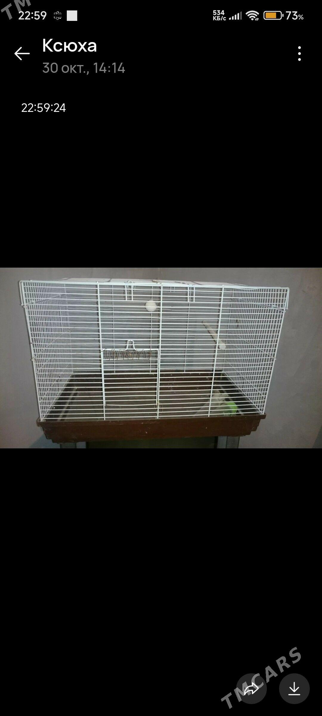 клетки для попугаев - Änew - img 4