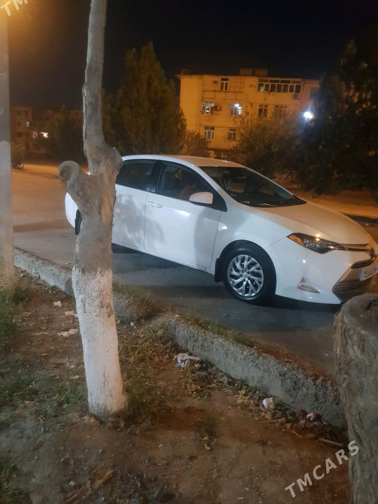 Toyota Corolla 2018 - 210 000 TMT - Арчабиль шаёлы - img 4