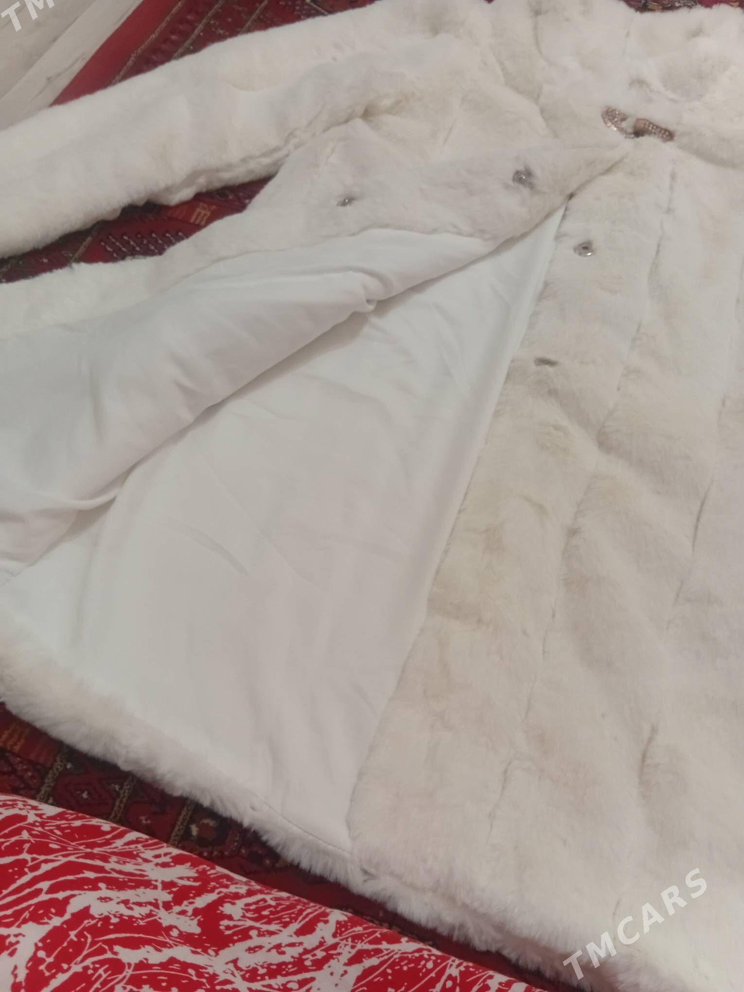 Suba - 6 mkr - img 3