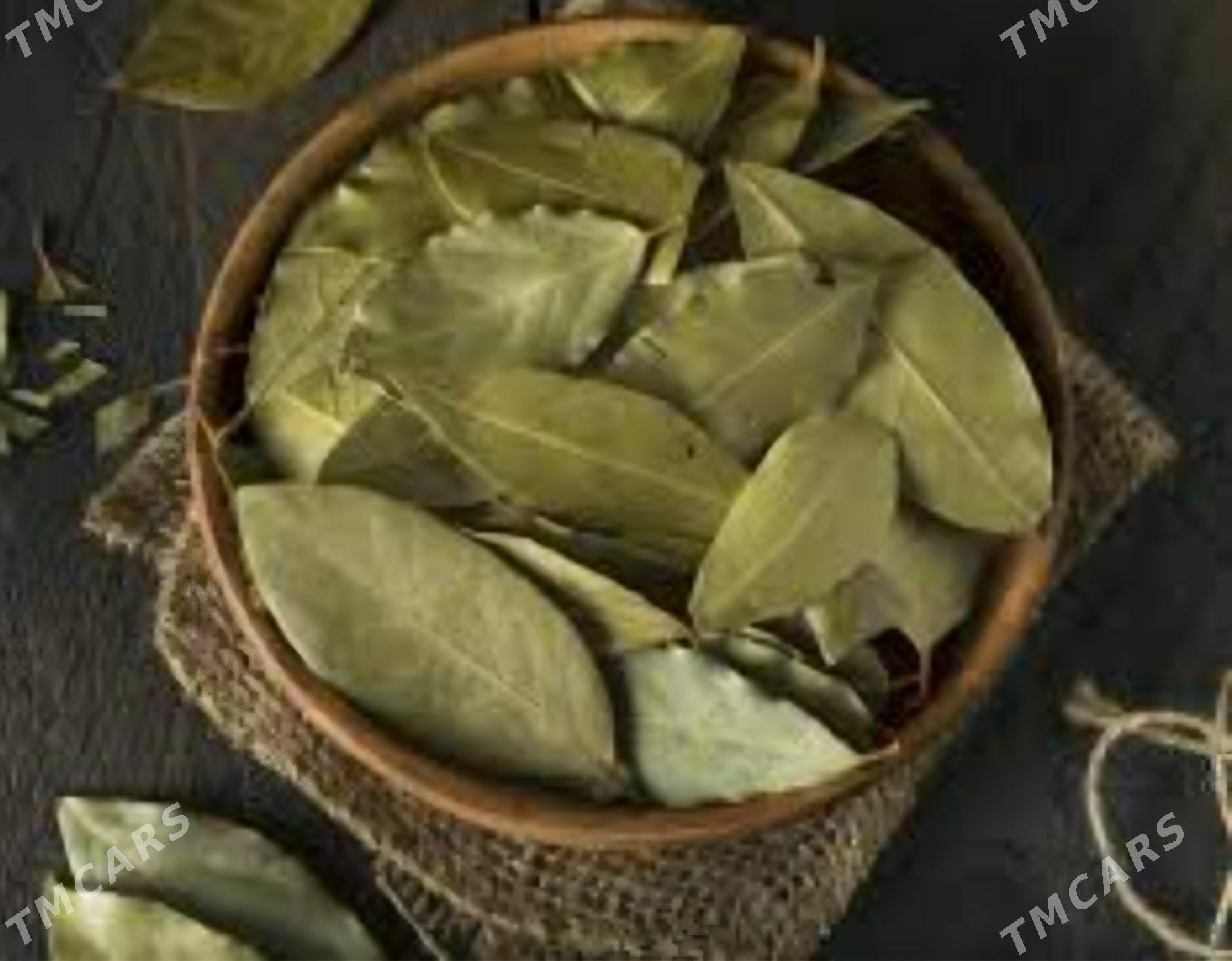 TURK NAHAL LAWROWIY LIST - Änew - img 10