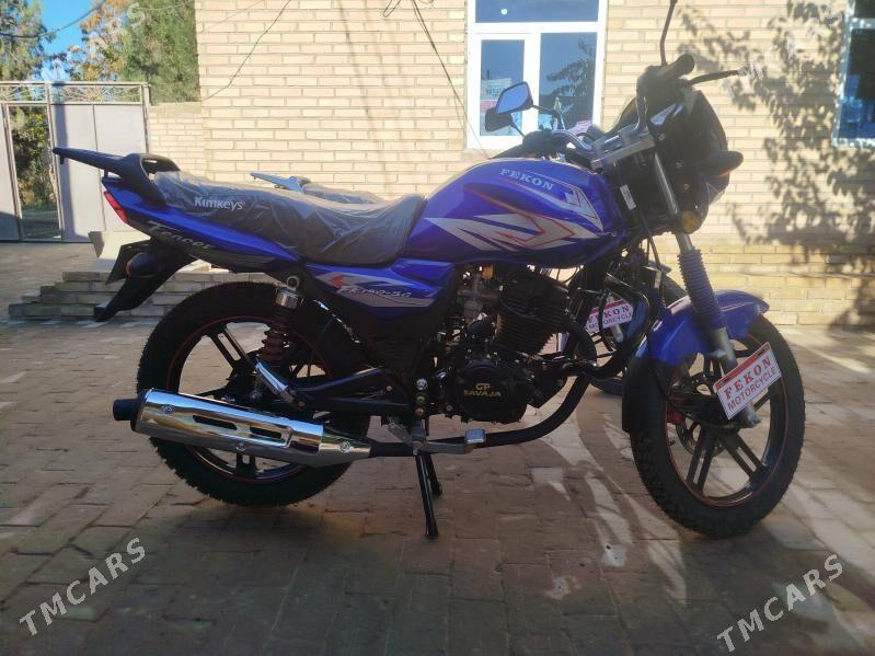 Fekon FK150-8G 2025 - 16 000 TMT - Kerki - img 3