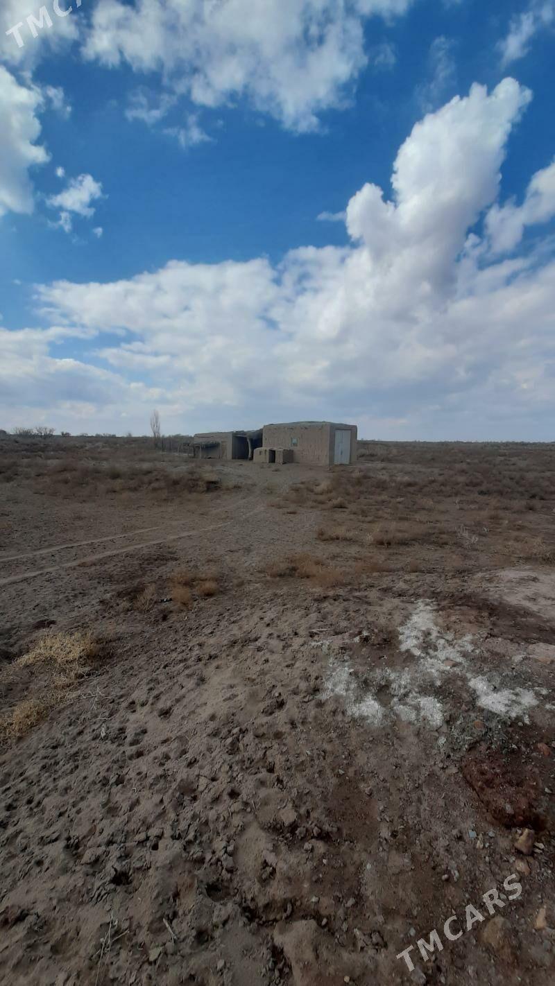 jay - Gubadag - img 6