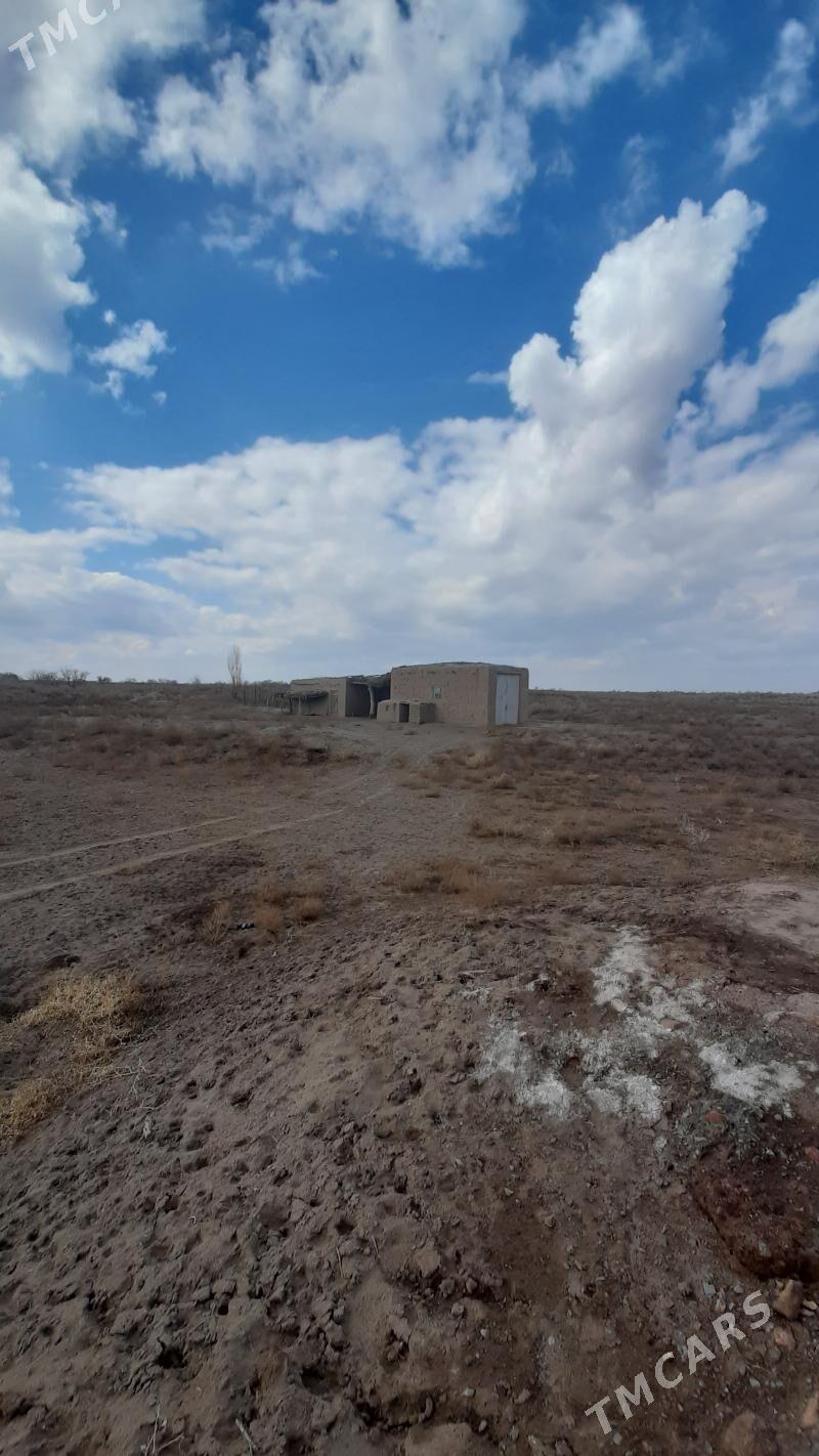 jay - Gubadag - img 8