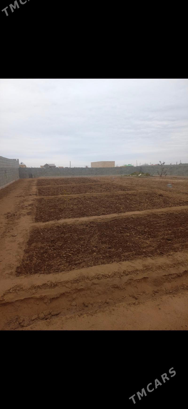 satlyk jaý - Теджен - img 7