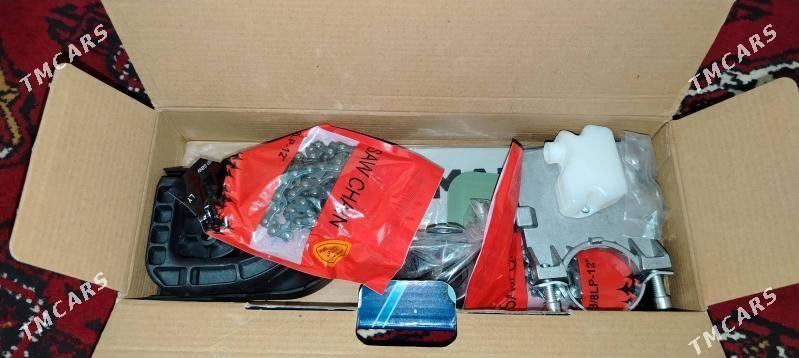 Pila Nasadka balgarka dakylya - Gurbansoltan Eje - img 2