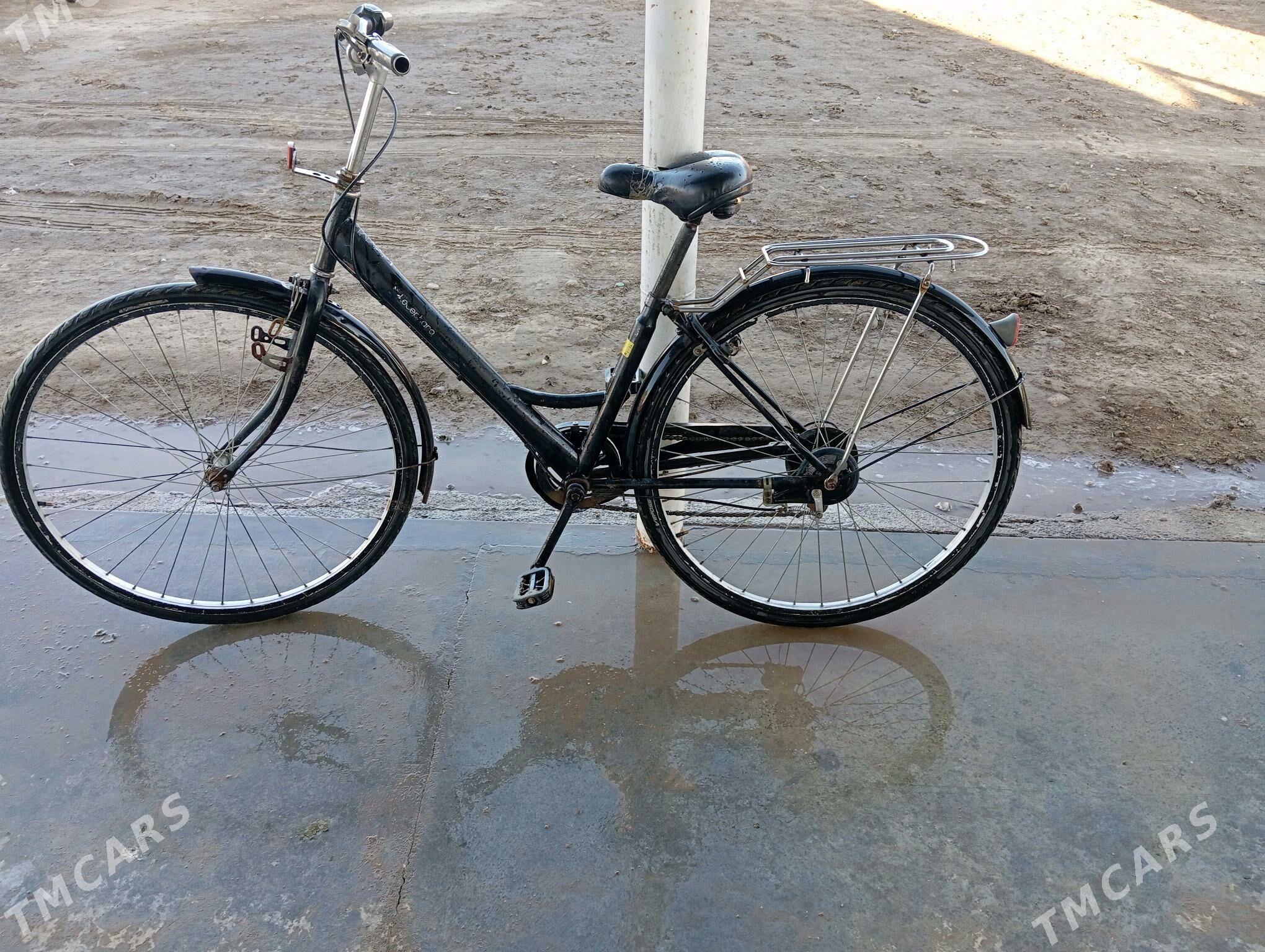 welik 27 - Baýramaly - img 2