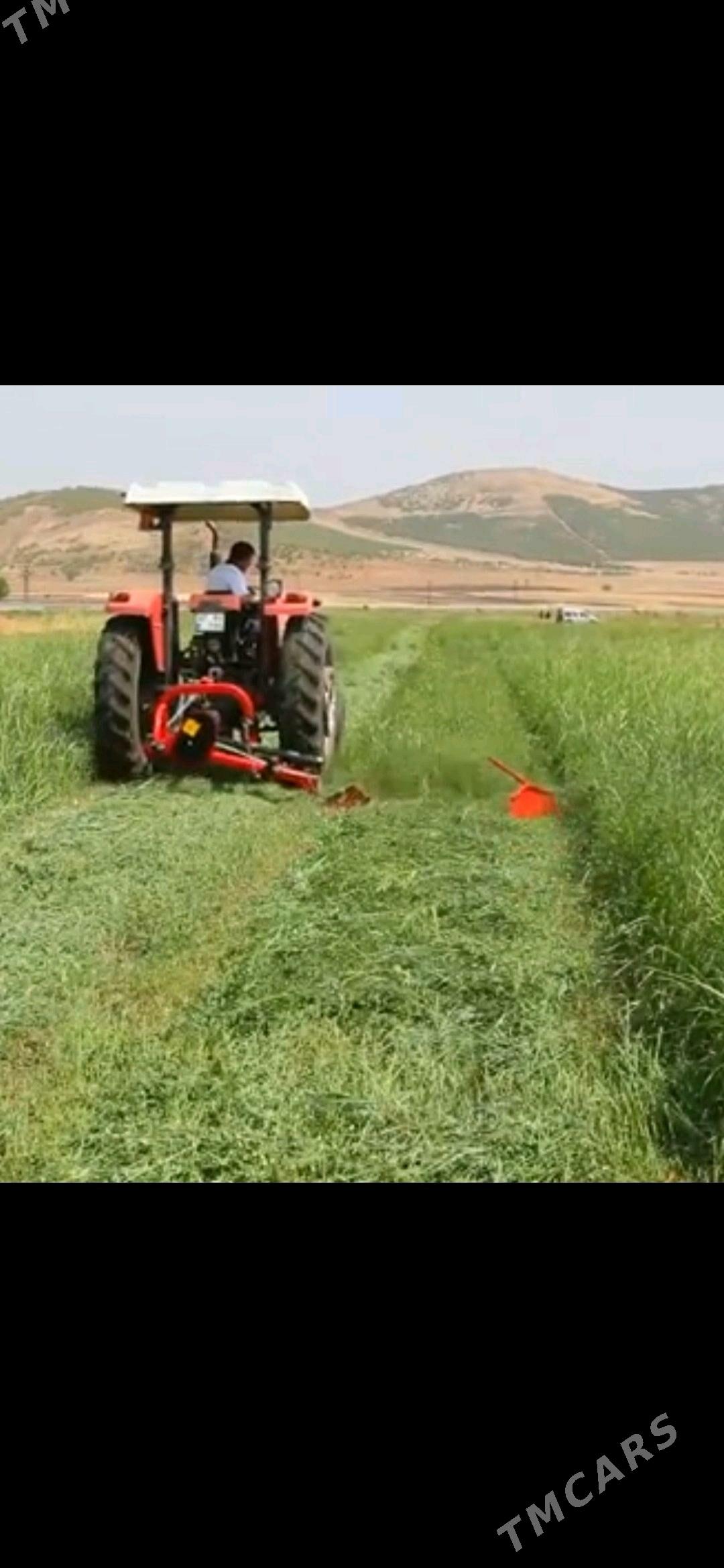 Yorunja oryan - Aşgabat - img 2