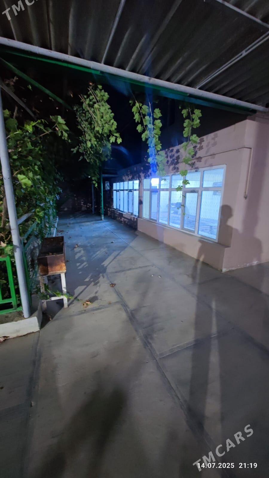 Anew Magtymguly - Анев - img 6