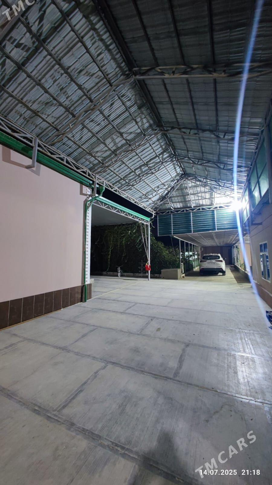 Anew Magtymguly - Анев - img 3