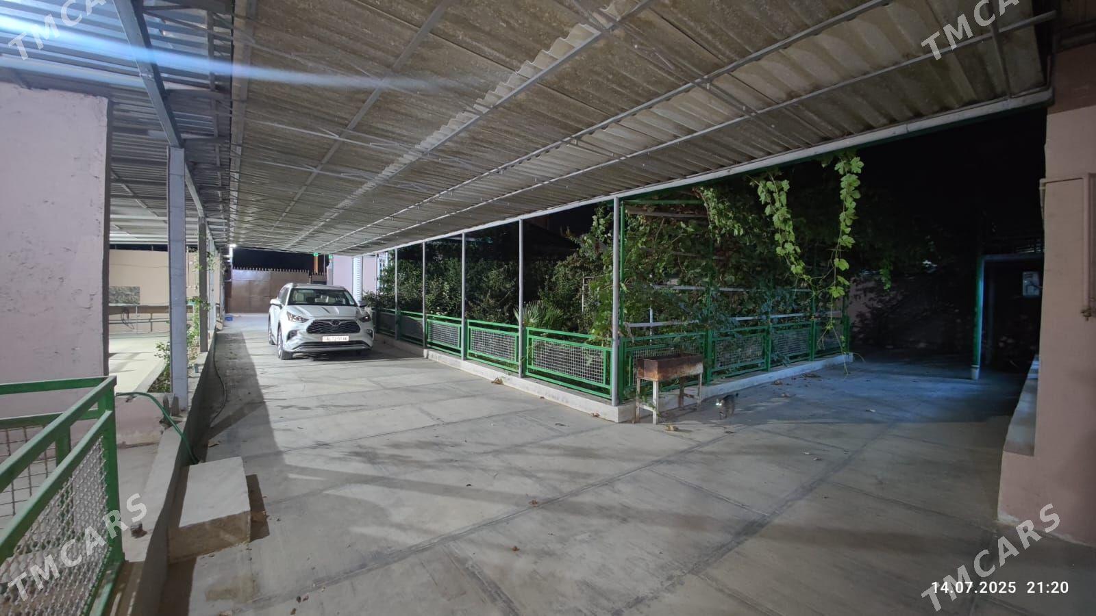 Anew Magtymguly - Анев - img 7