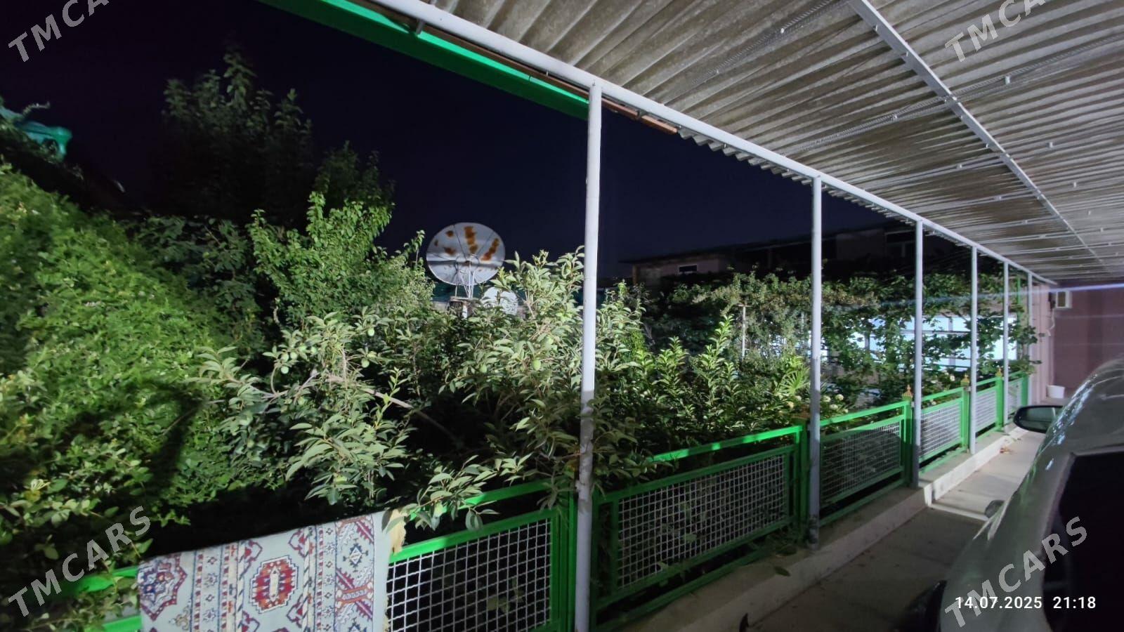 Anew Magtymguly - Анев - img 1