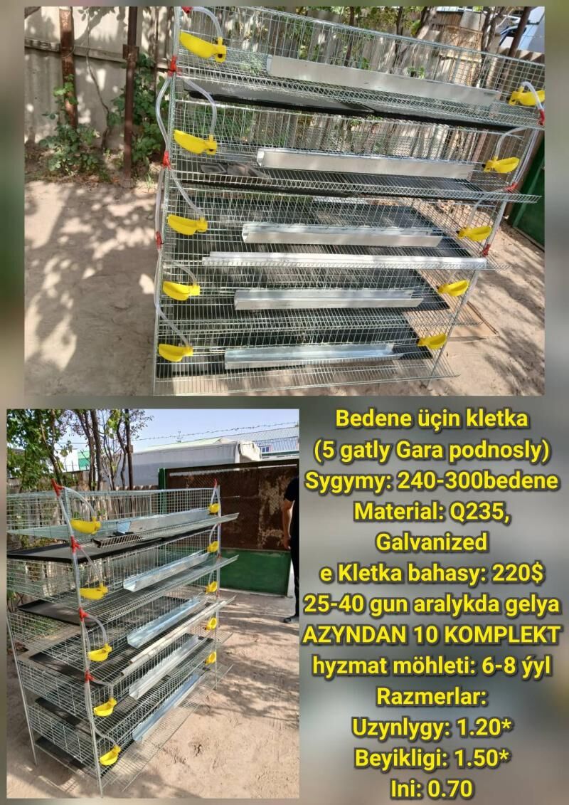  Inkubator Towuk Horaz Jüýje - Ашхабад - img 9