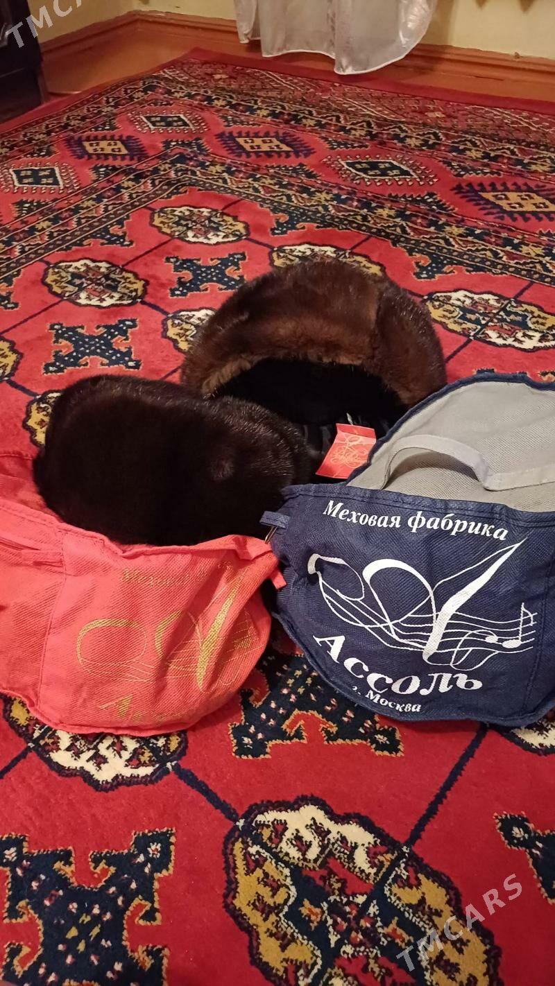 Норка телпек - Parahat 3 - img 1