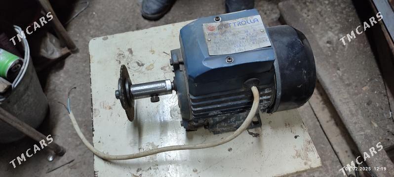 Tocilo - Мары - img 1