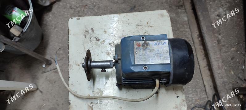 Tocilo - Мары - img 2