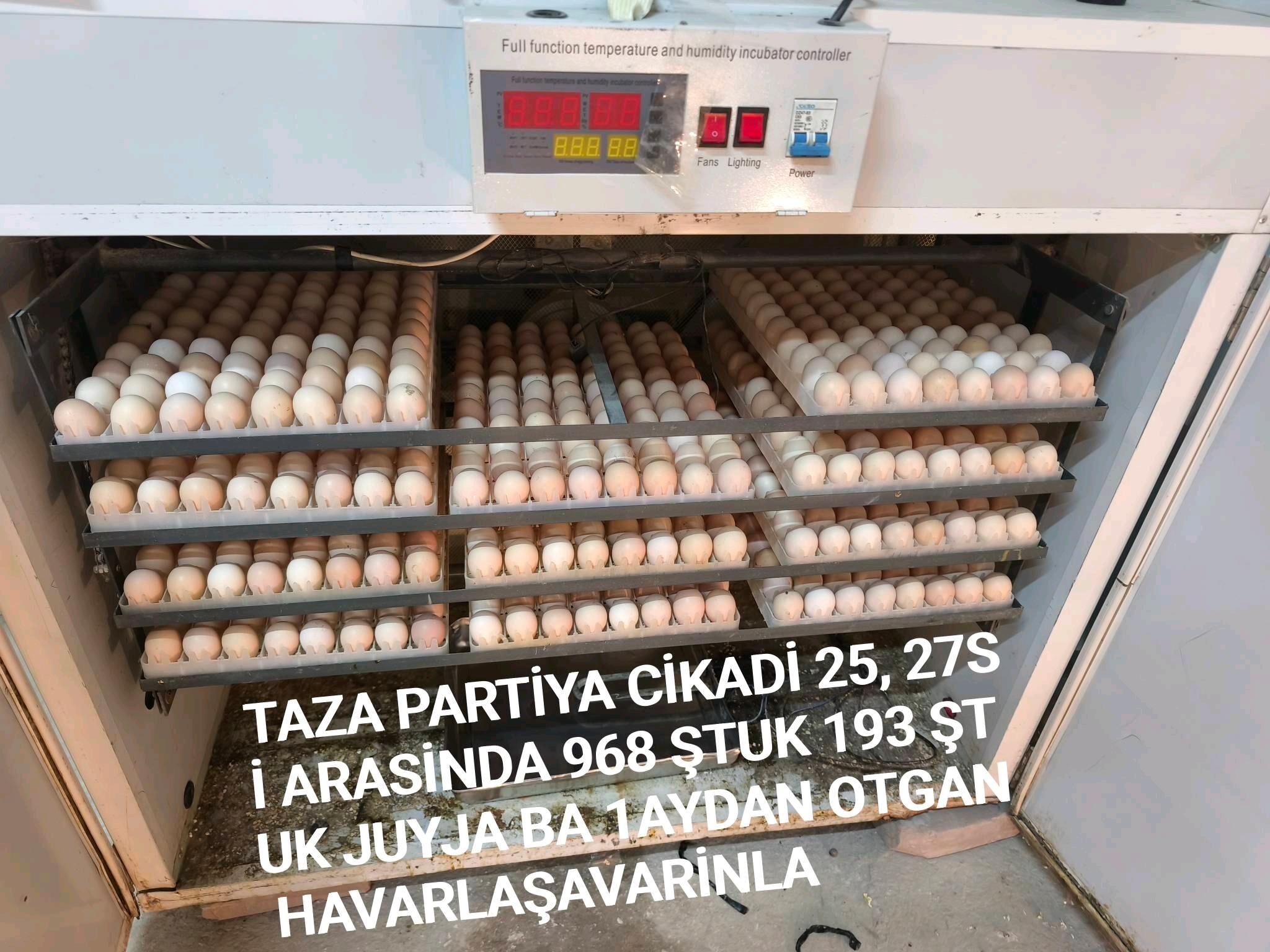 JUYJE 1ayi gecen - Шабатский этрап - img 3