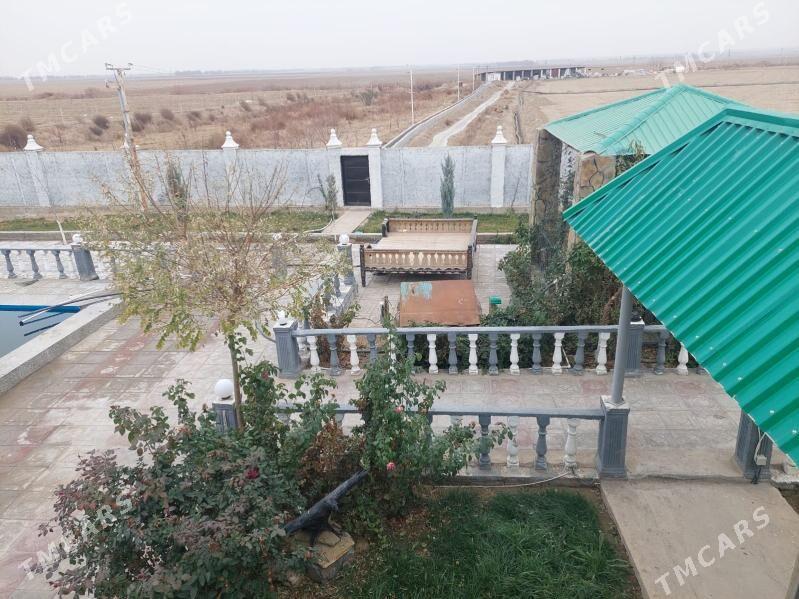 Önümçilige 9 gektar 99 yyllyk - Änew - img 5