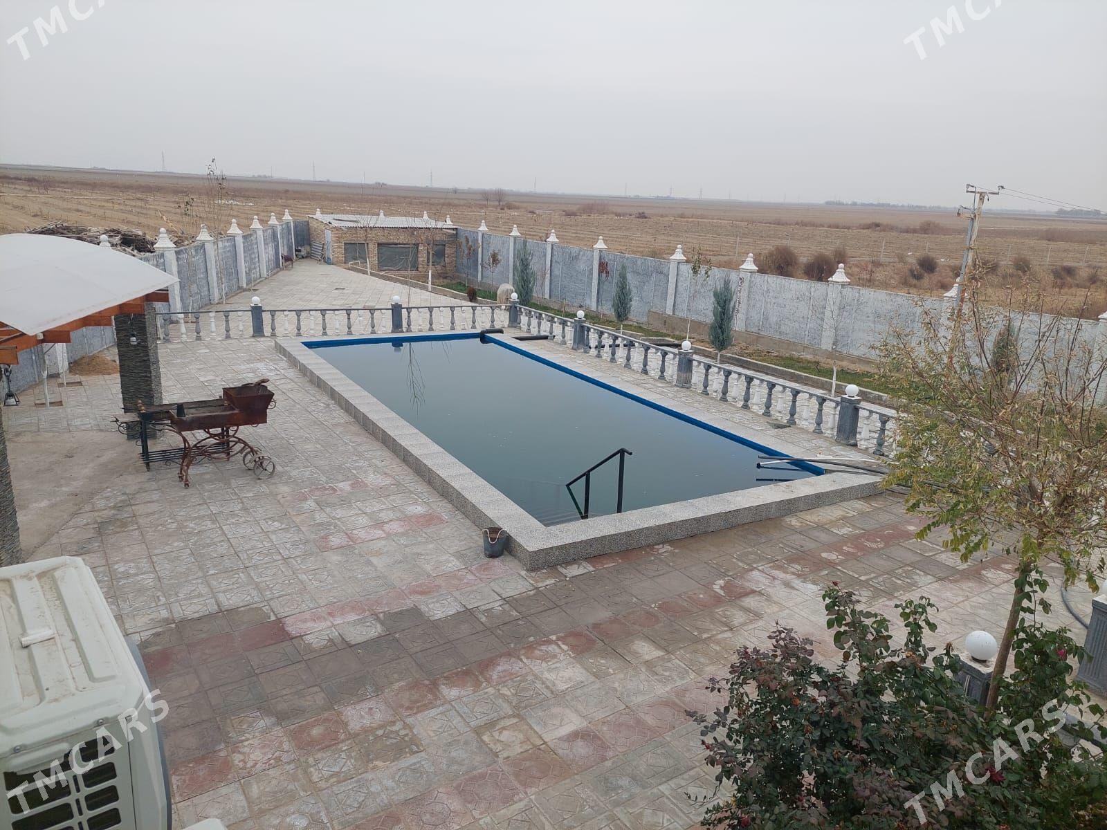 Önümçilige 9 gektar 99 yyllyk - Änew - img 6