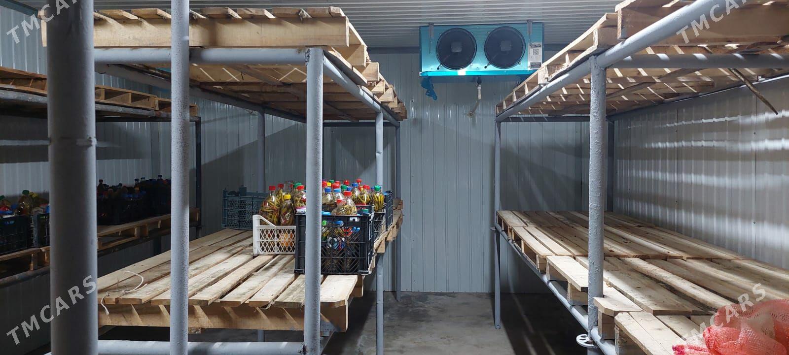 Önümçilige 9 gektar 99 yyllyk - Änew - img 8