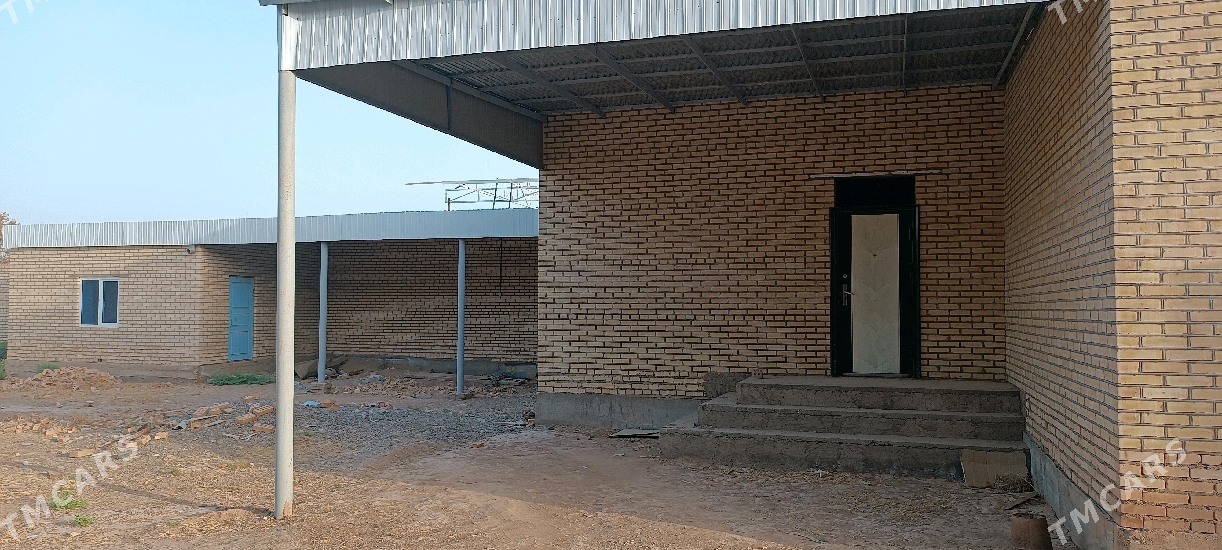 Jay Śeydaýy köçesi - Sarahs - img 3