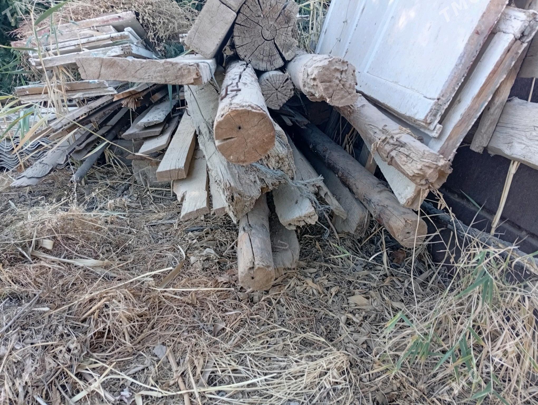 agac - Sarahs - img 2