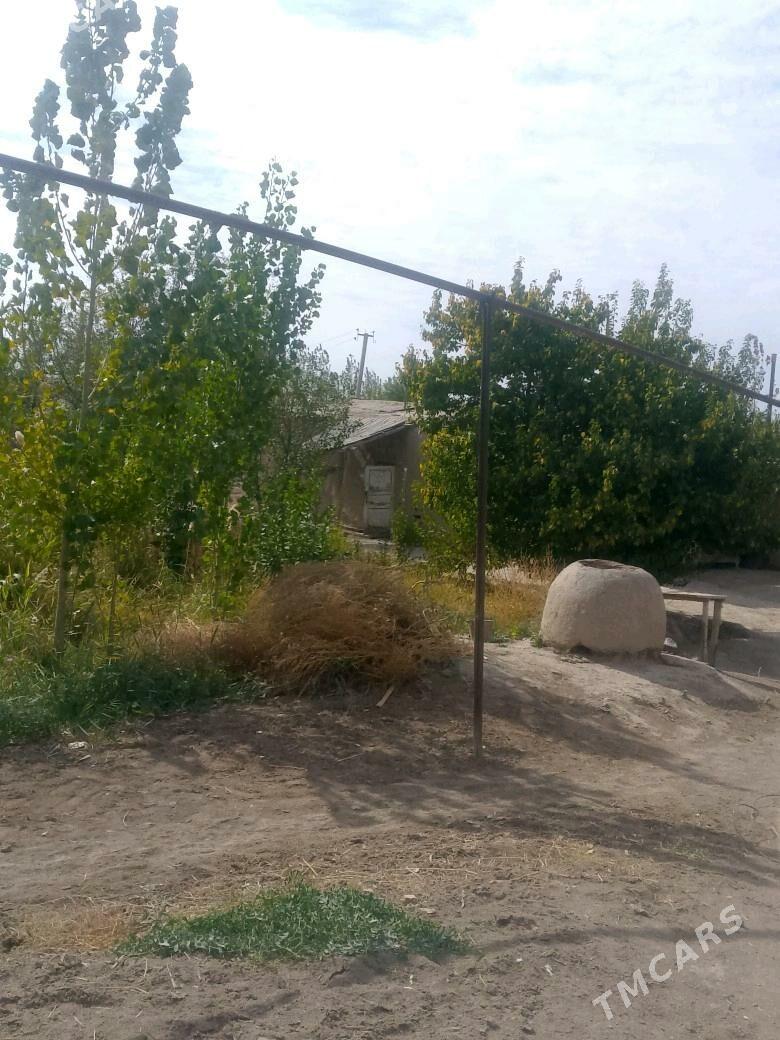 satlyk jay - Gubadag - img 3